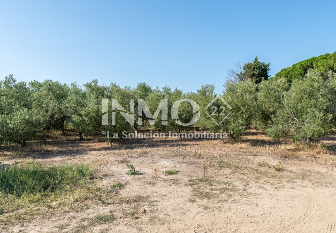 Finca en Reus - 