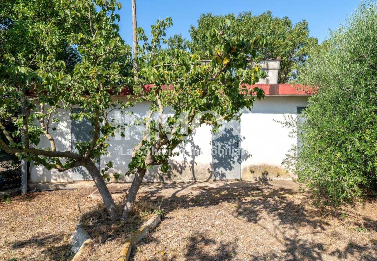 Finca en Reus - 