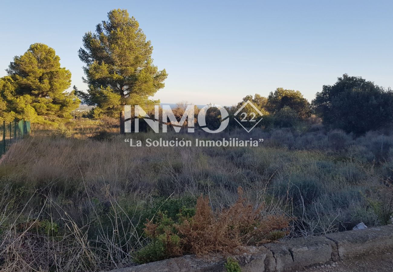 Plot in Ruidecanyes - 