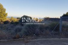 Parcella a Ruidecanyes - T001